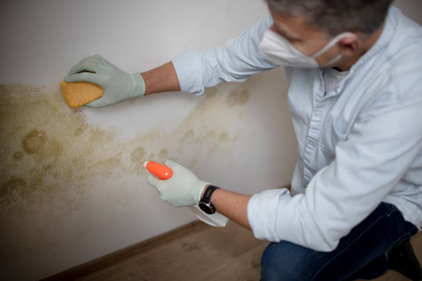 Best Crawl Space Mold Removal  in Gap, PA